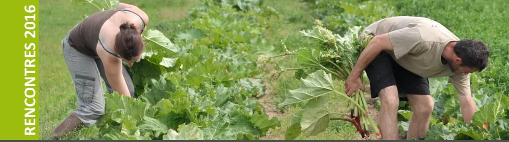 Coopération et développement rural