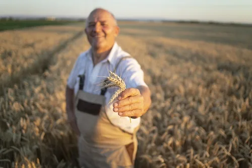 Agriculture en Ukraine